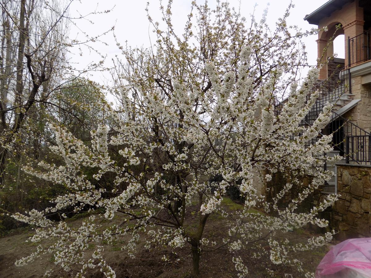 Casa Rural Generoso Madronal Екстер'єр фото